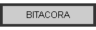 BITACORA